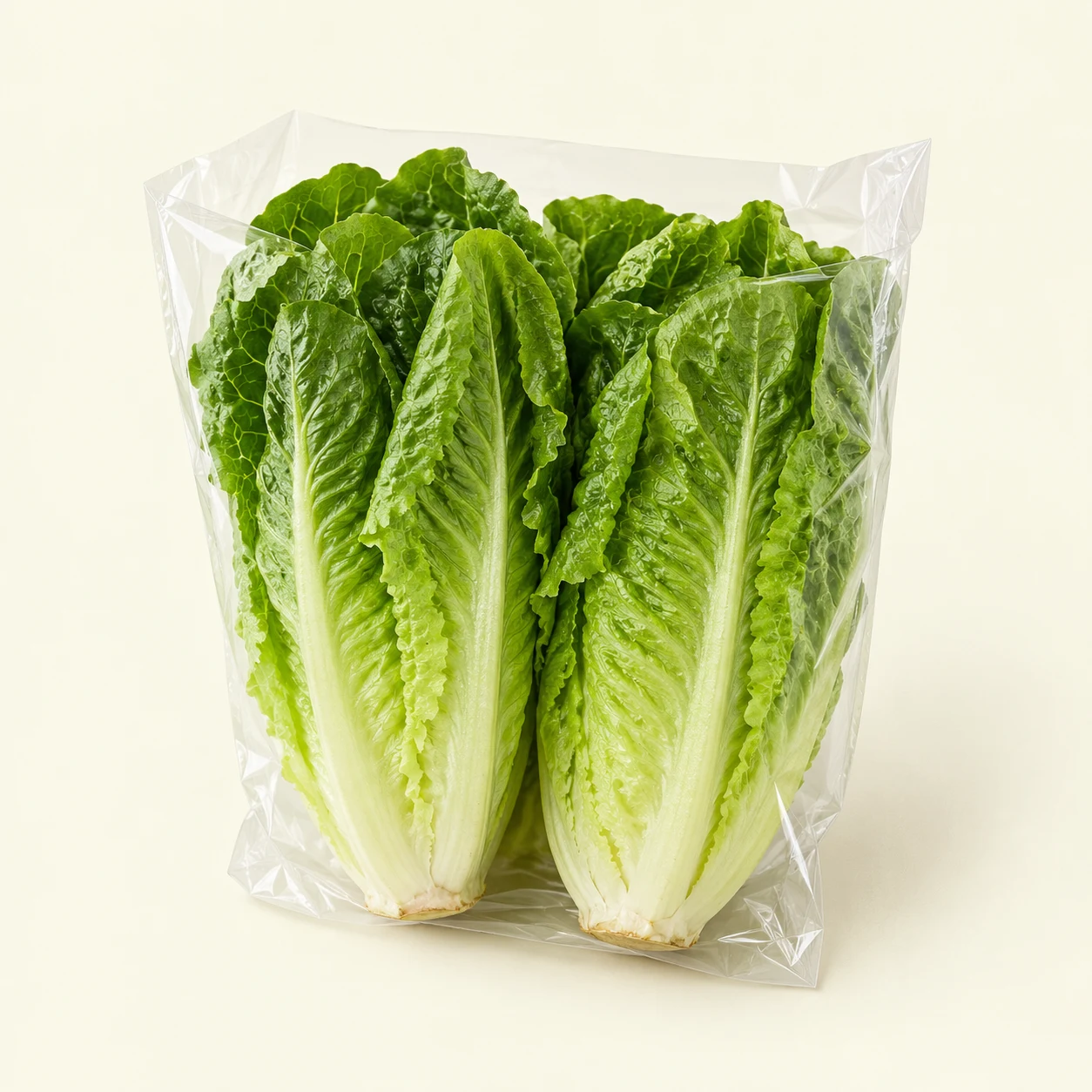 Romaine lettuce pair
